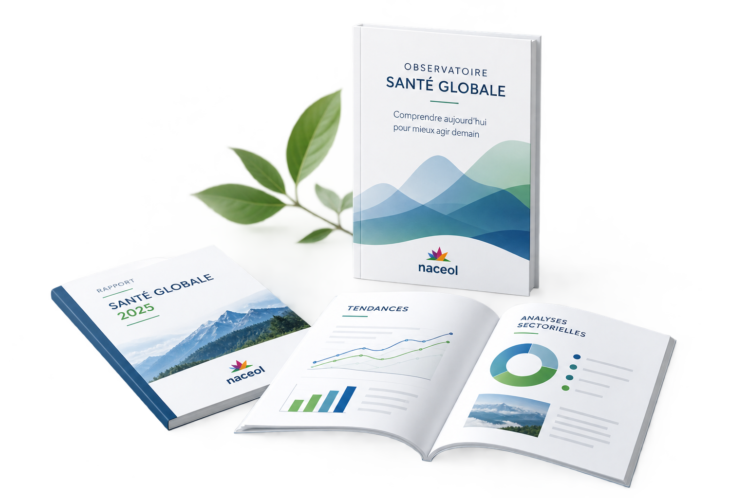 Publications RAICE